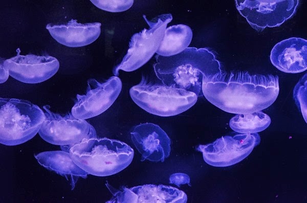 [DSC_0044%255B4%255D.jpg]