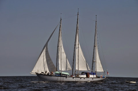 DSC_0343_2.jpg DSC 0343 2