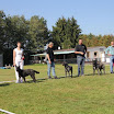 IMG_2955.JPG