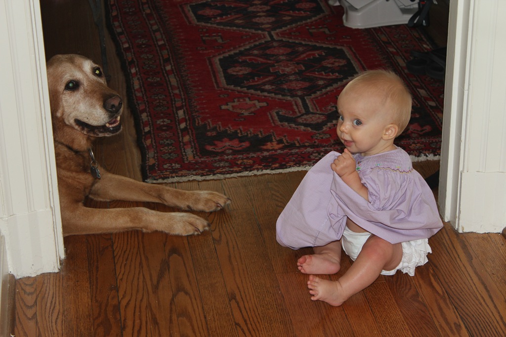 [IMG_4838%255B4%255D.jpg]