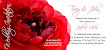 Wedding Invitation