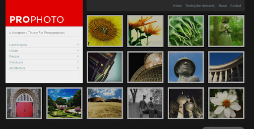 WP ProPhoto - A Wordpress Theme For Photographers - ThemeForest Item for Sale