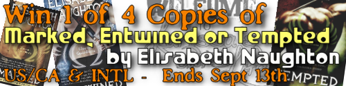 [Elisabeth%2520Naughton%2520Giveaway2%255B5%255D.png]