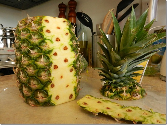 DSCN1108 DSCN1108