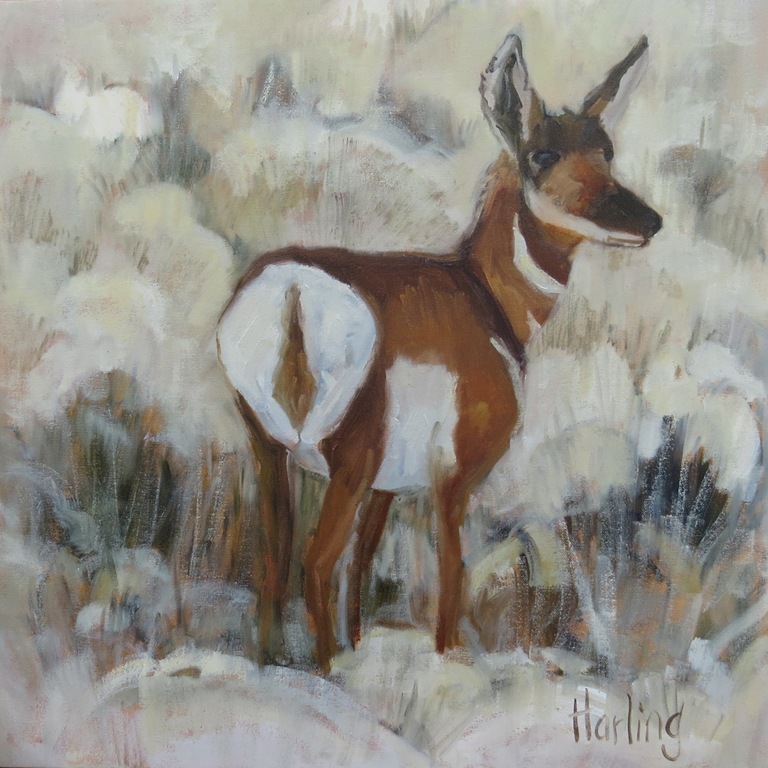[Modoc%2520Antelope%252024x24in%2520Crystal%2520Harling%255B6%255D.jpg]