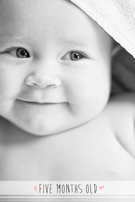 five_month_old five_month_old