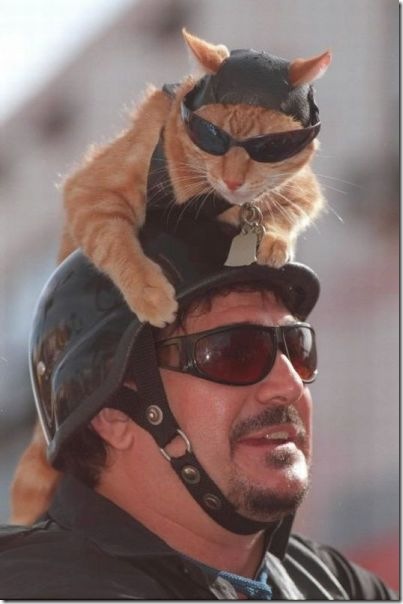viral-picdump-pics-16