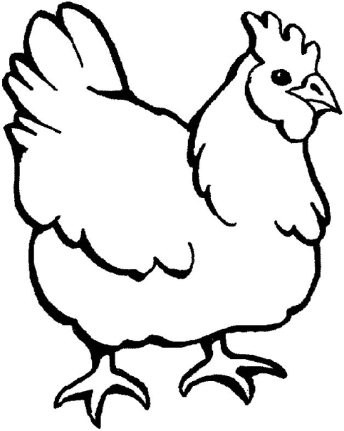 74 Gambar Ayam Untuk Anak Sd HD 74 Gambar Ayam Untuk Anak Sd HD