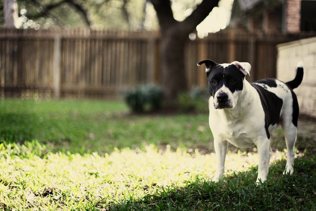 [Gracie%2520and%2520Cooper%2520Feb%252022%2520057-1%255B4%255D.jpg]