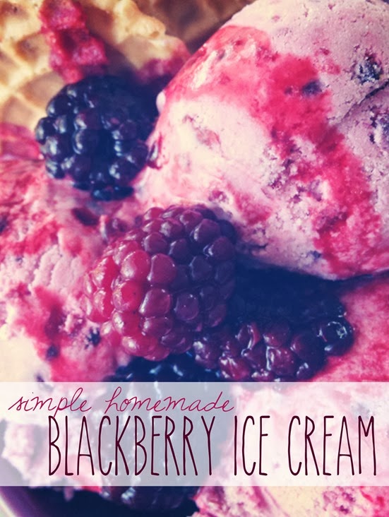 Blackberry Ice Cream 2