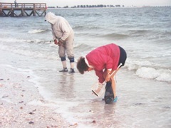 shelling on Sanibel Island2