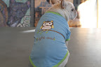 The back features a night owl and it is so comfortable for sleeping in.  Which reminds me - isn't it time for a nap?