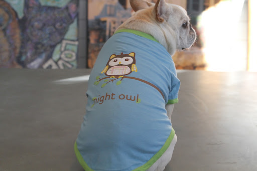 The back features a night owl and it is so comfortable for sleeping in.  Which reminds me - isn't it time for a nap?