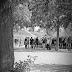 Sommerliga 2011 - [1] Boule