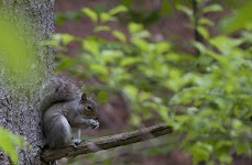 DSC_0190a.JPG