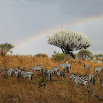 Africa8.JPG