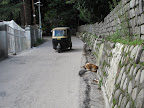Path to Old Manali