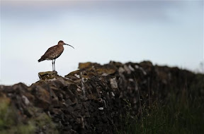 Peak District  (13).JPG