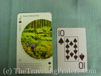 52 Amazing Places National Parks Playing Cards from Birdcage Press