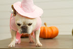 Now, I'll model another pink creation, the Witch Costume.