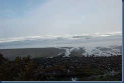 Oregon coast Tilamook 020