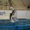 hokkaido_425.jpg