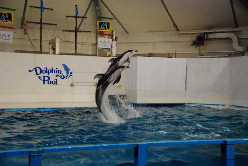hokkaido_425.jpg