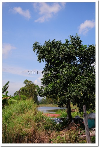 DSC_0949 DSC_0949