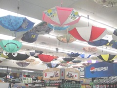 11.2011 Maine Naples Tonys Foodland umbrellas2 11.2011 Maine Naples Tonys Foodland umbrellas2