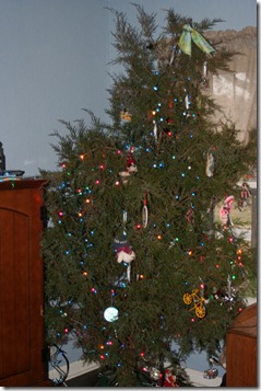 IMG_3119 IMG_3119