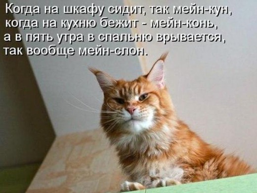 [4bea3d4beb02c969b6a3f5e9d9a_prev%255B4%255D.jpg]