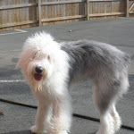 DSCN4555.jpg