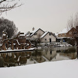 IMG_9564.jpg