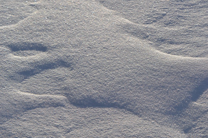 [DSC_0088%2520%252813%2529%255B8%255D.jpg]