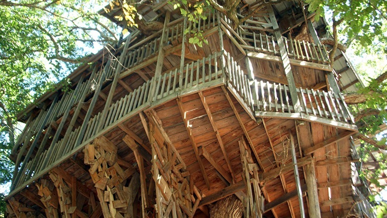 Biggest Treehouse In The World 2013 massive tree house in crosville, tennessee: the largest in the Biggest Treehouse In The World 2013 massive tree house in crosville, tennessee: the largest in the