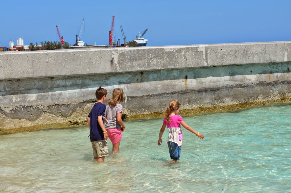 [DSC_7639%255B4%255D.jpg]