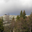 DSCN2931.jpg