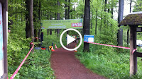 IMG_0564.MOV