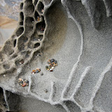 Pebble Beach