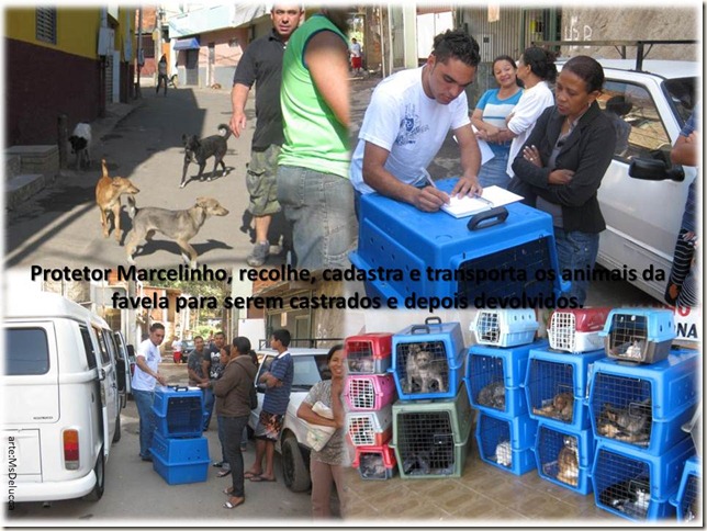 marcelinho_protetor4 marcelinho_protetor4