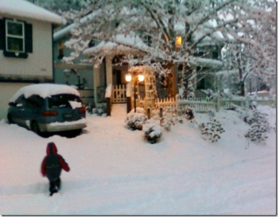 snow 3