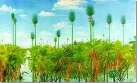 bosqueprehistorico