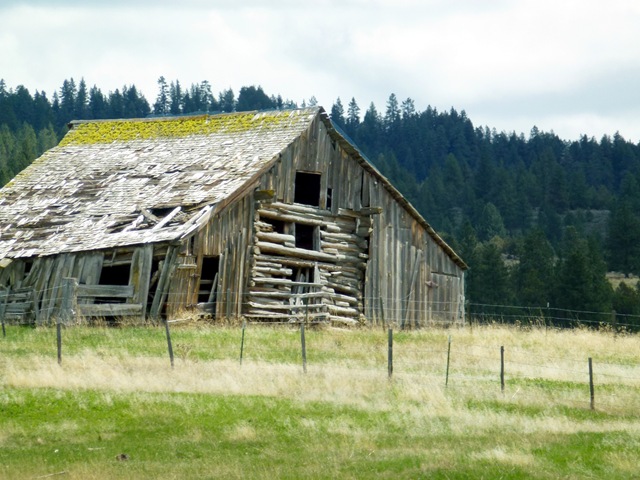 [P10502463.jpg]