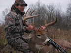 2011 -