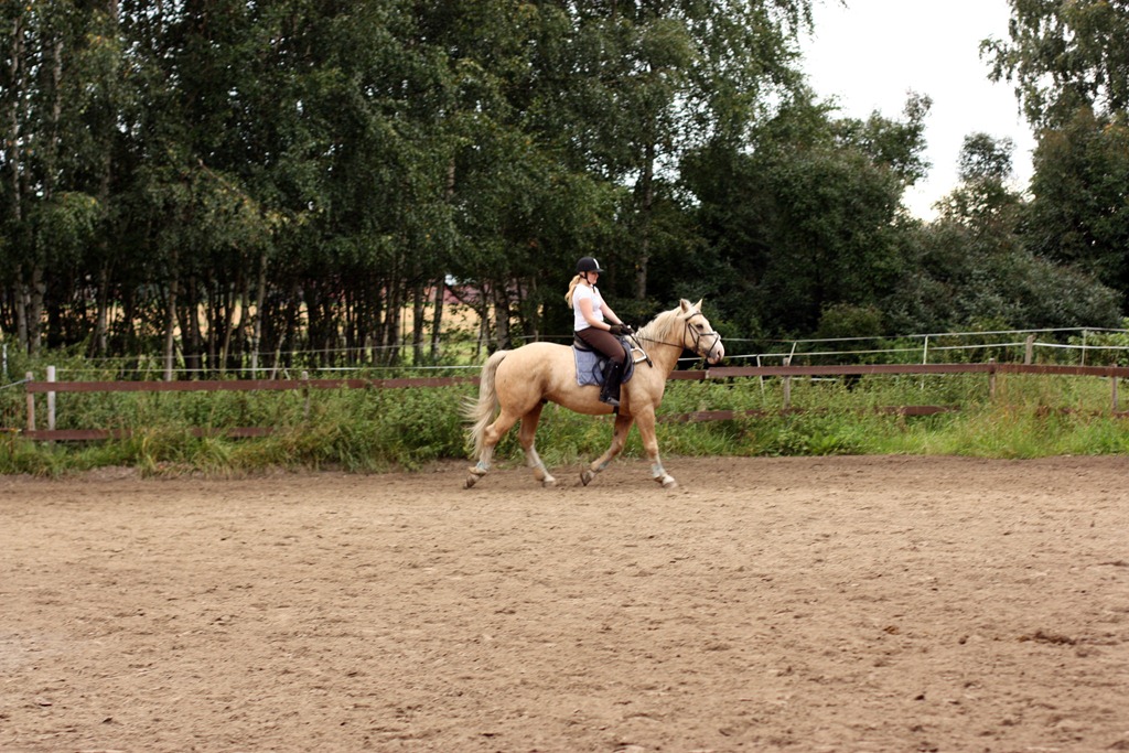 [IMG_16514.jpg]