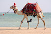 sh120101_007_resize.JPG