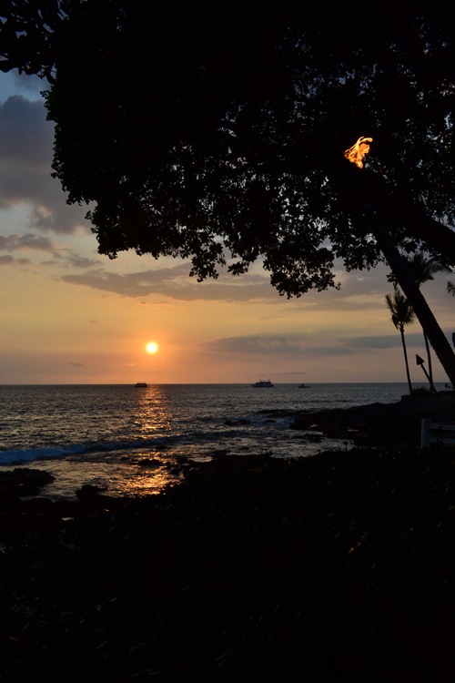 DSC_0611-1
