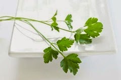 Italian Parsley