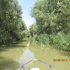 IMG_5764.JPG