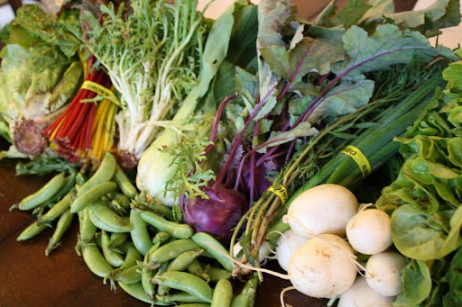 Three kinds of salad greens: swiss chard, peas, bok choy, kohlrabi, scallions, turnips, and the herb savory